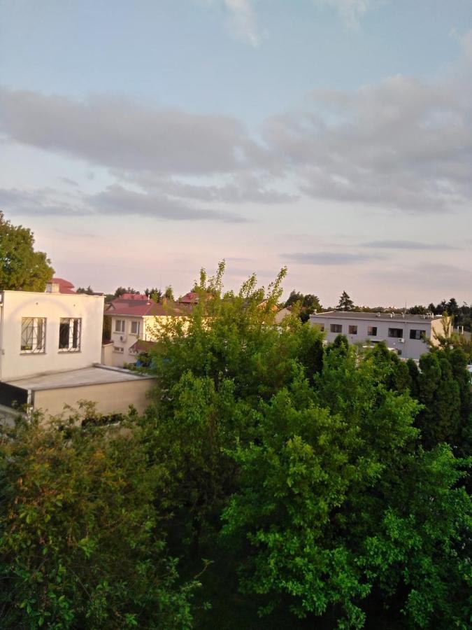 La Madriguera Bed & Breakfast Рашин Екстериор снимка